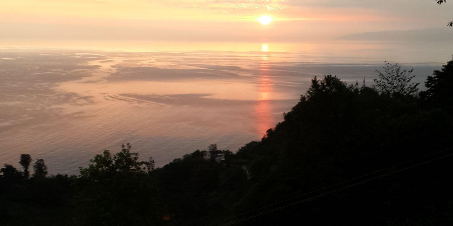 eskilerdenenes's profile banner image