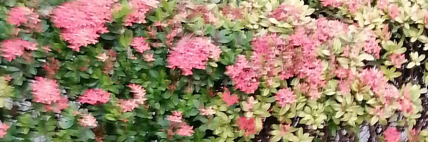 ahz5054's profile banner image