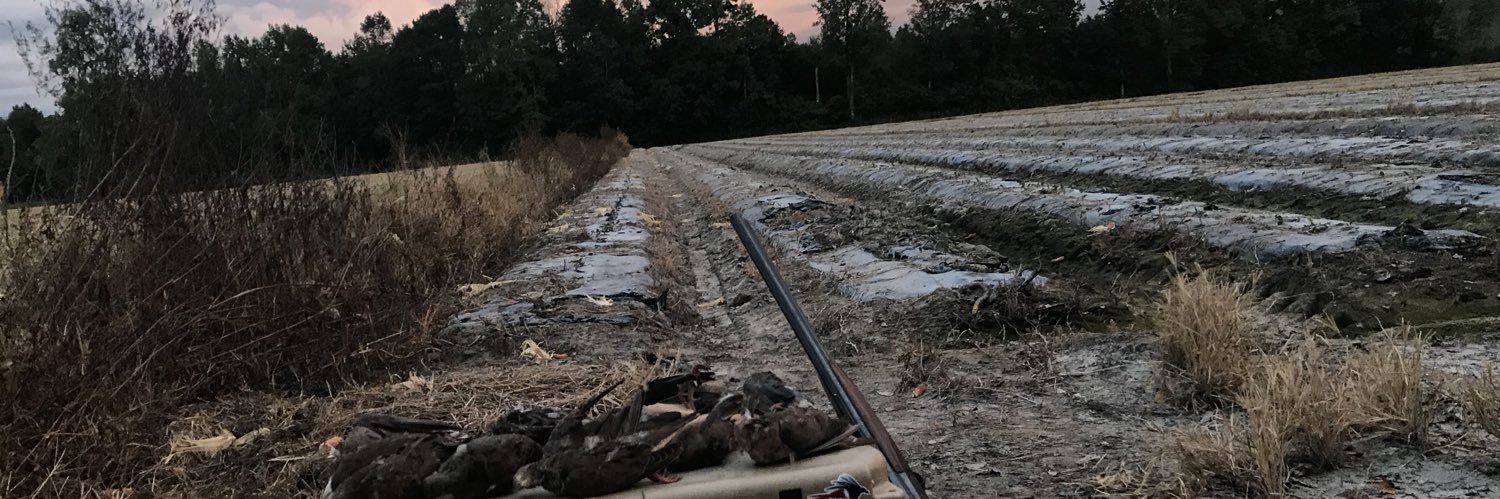PhillytheTruth's profile banner image