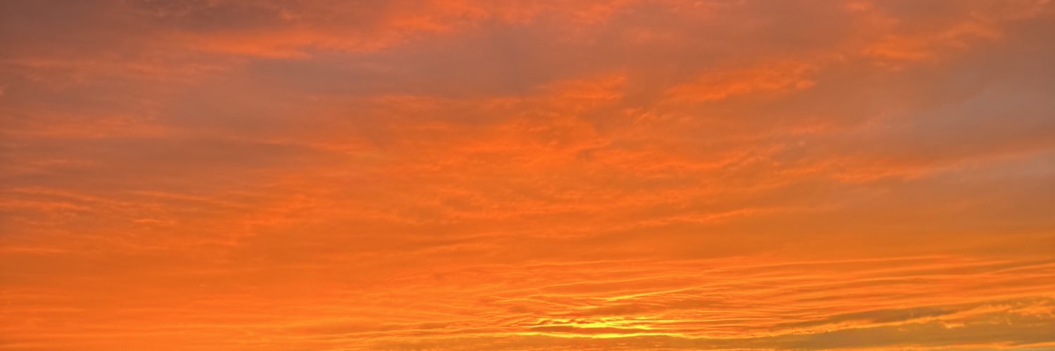 taylorr_rosee's profile banner image