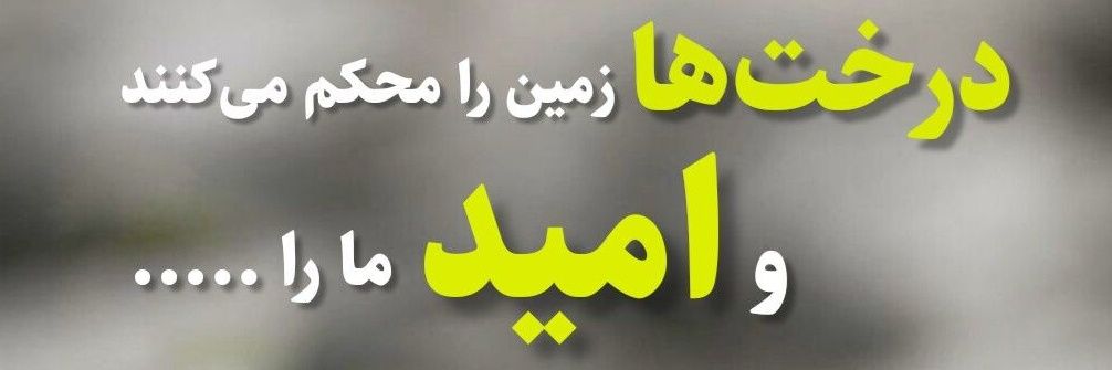 drshahab148's profile banner image