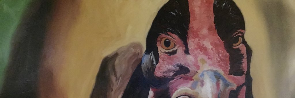 14crows's profile banner image