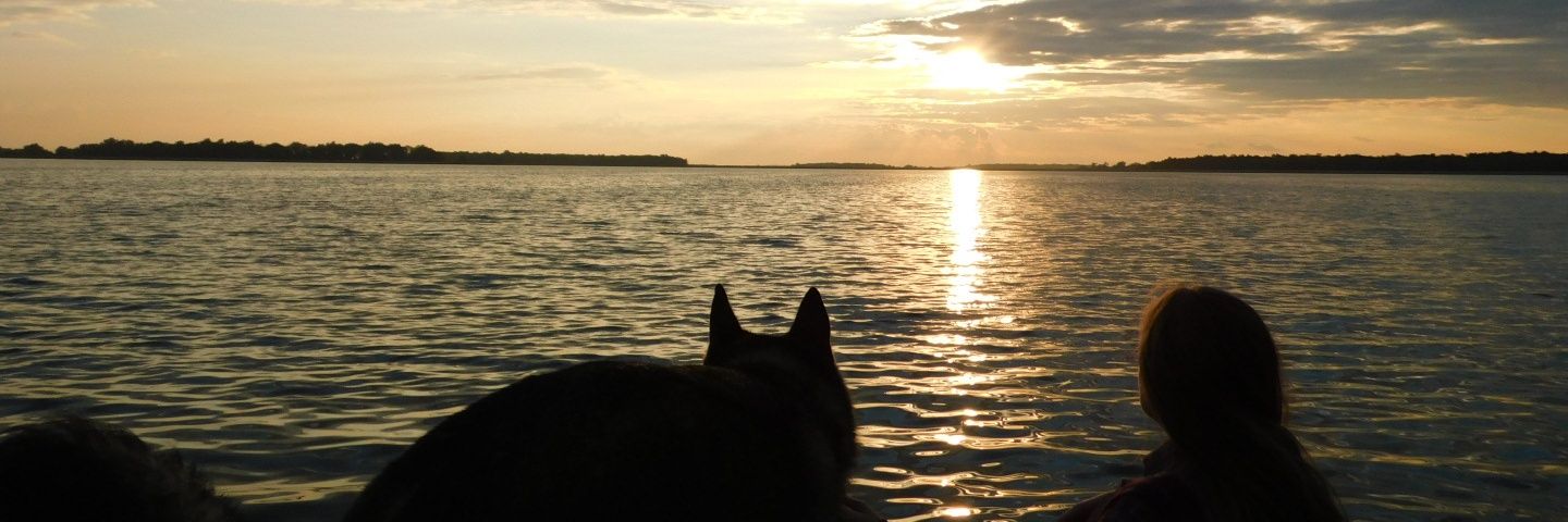 shelblucas2's profile banner image