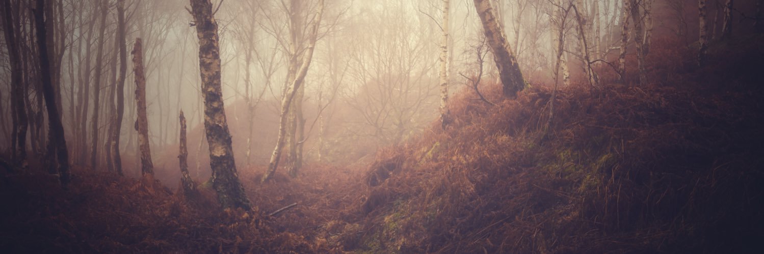 jasonlriley's profile banner image