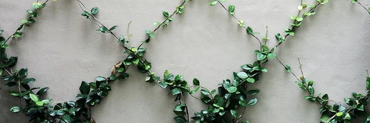 N_SMM's profile banner image