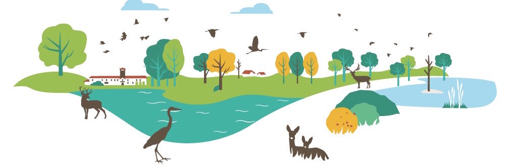 RiservaSanMassimo banner