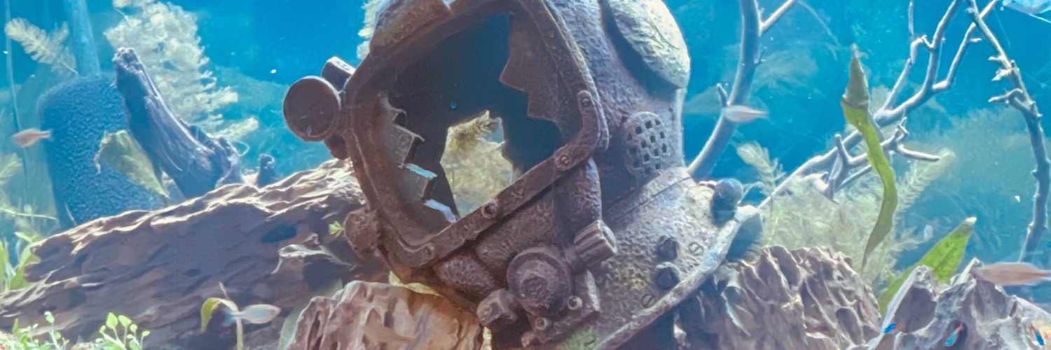 JonesBurr's profile banner image