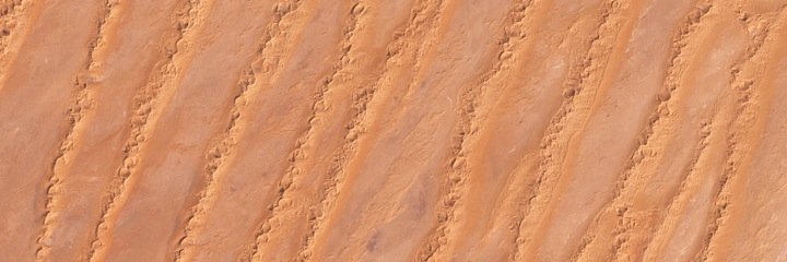 ObservatorioWS's profile banner image