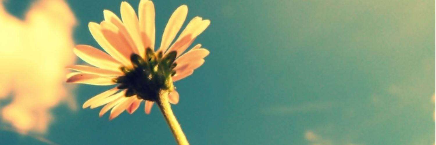 AzraBeee's profile banner image
