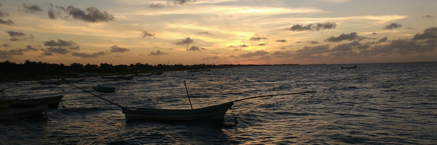 MartValentine's profile banner image