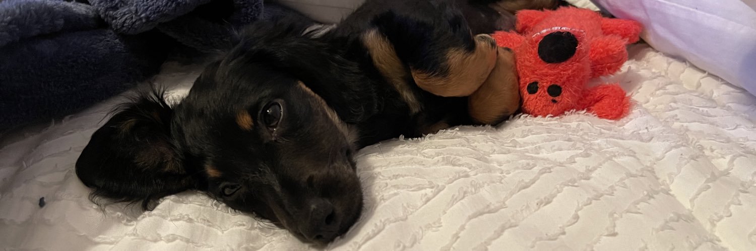 HotJillyPepper's profile banner image