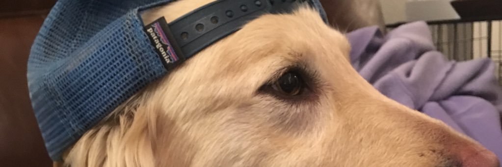 ThatAlumniGuy's profile banner image