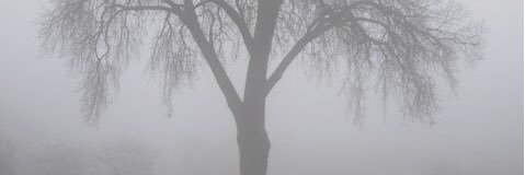 CoffeeinatedDad's profile banner image