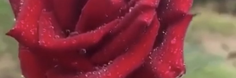 m_saeed55's profile banner image