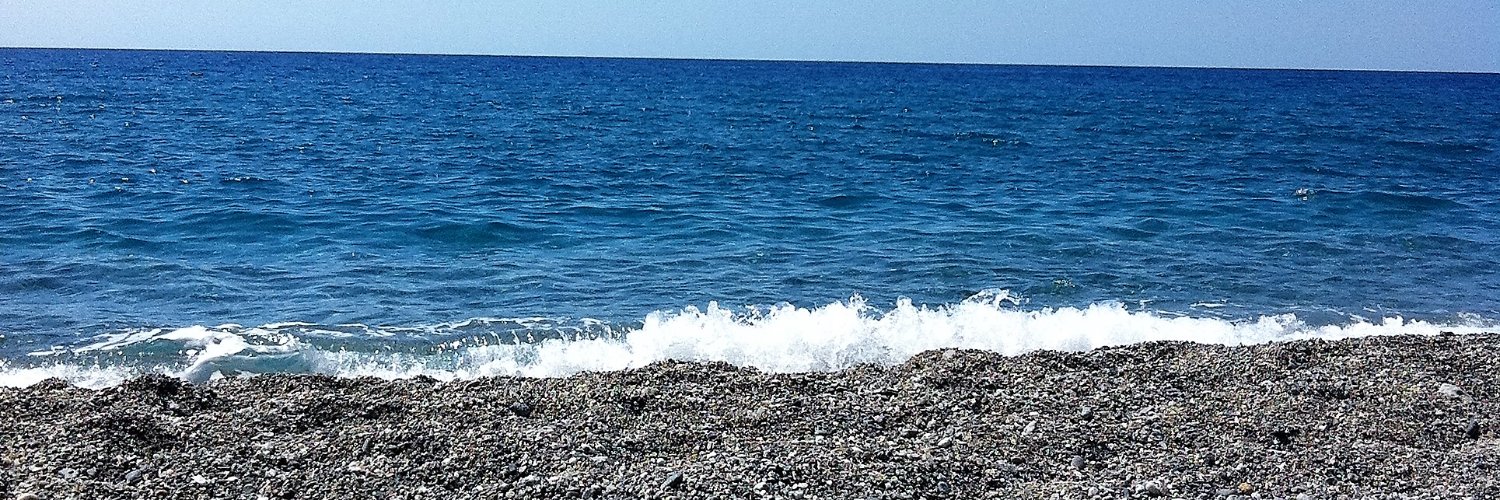 Fiore Liborio banner