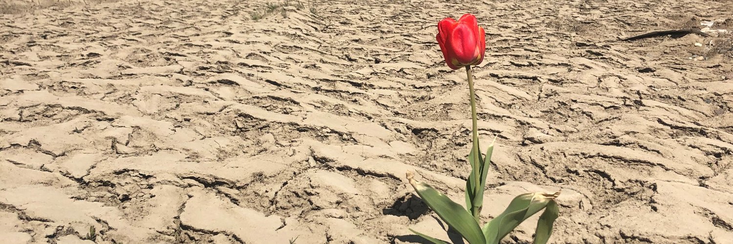 The Merritt Herald banner