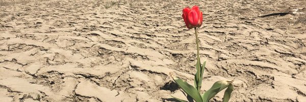 MerrittHerald Profile Banner