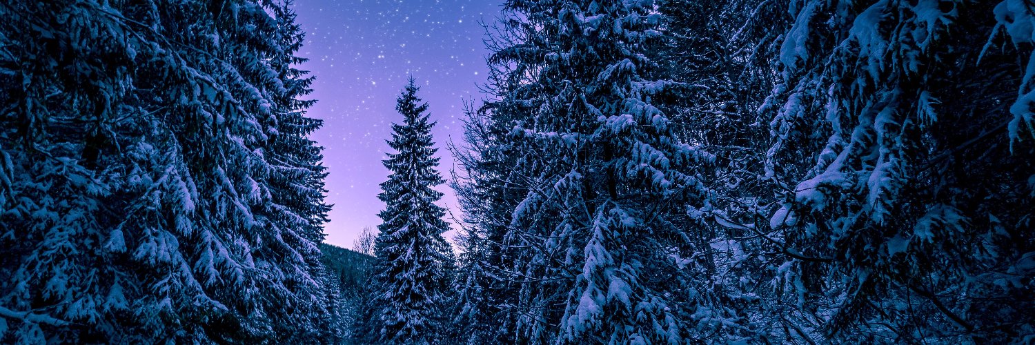 Capital Womens Care banner