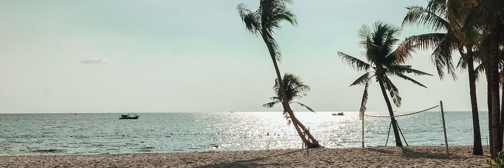 xdeidocorc's profile banner image