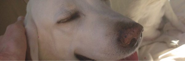 Buncahn Profile Banner