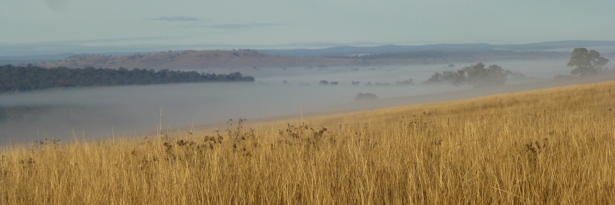 Sarah Thompson banner