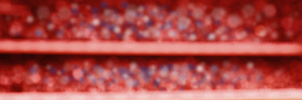 rsarx17 Profile Banner