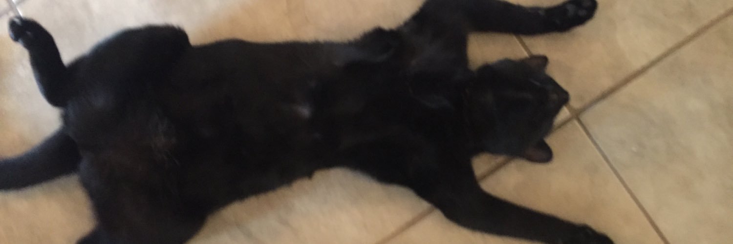 TheBigZicker's profile banner image