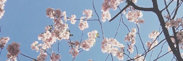MariaAgestav's profile banner image