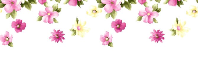 nan4245's profile banner image