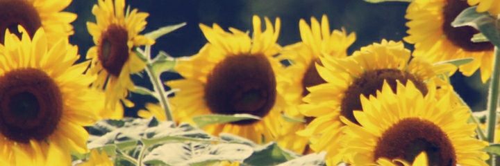 Mederos91's profile banner image