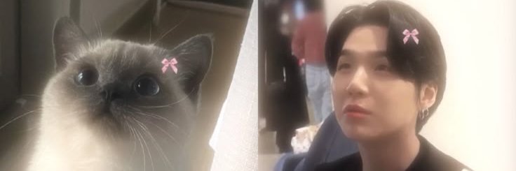 na ju⁷ 🌱 banner