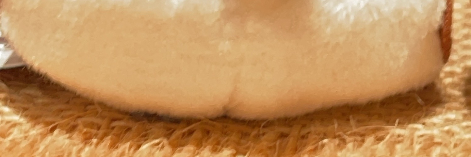 18170930's profile banner image