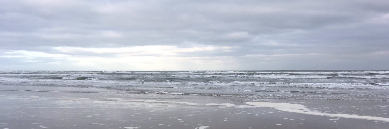 Roelie Waanders banner