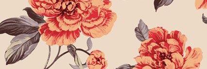 baileymnwalker's profile banner image