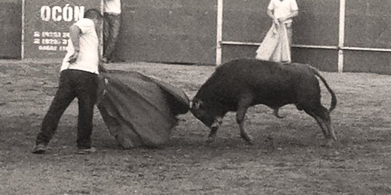 IGarrido1's profile banner image
