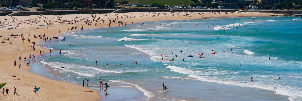 Bondi Vet Official banner