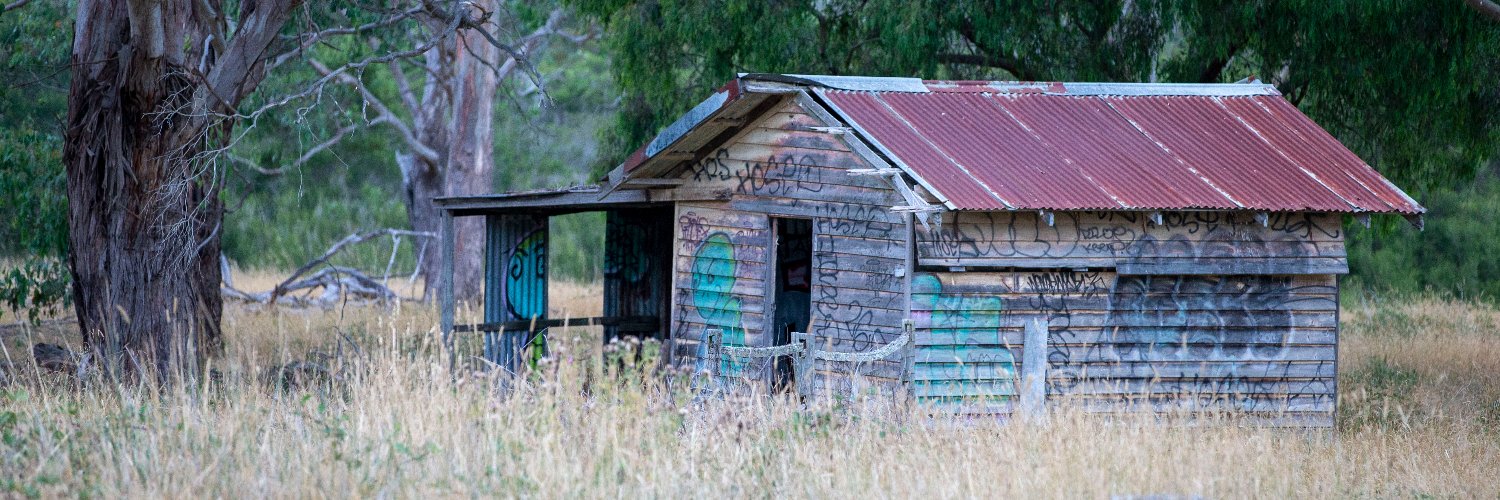 Alistair Harkness banner