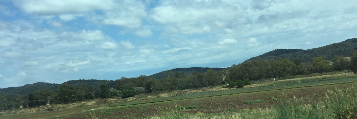 annie_schubert's profile banner image