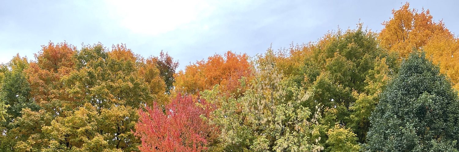 skylerh34's profile banner image