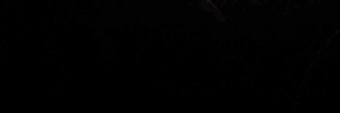 loudutch's profile banner image