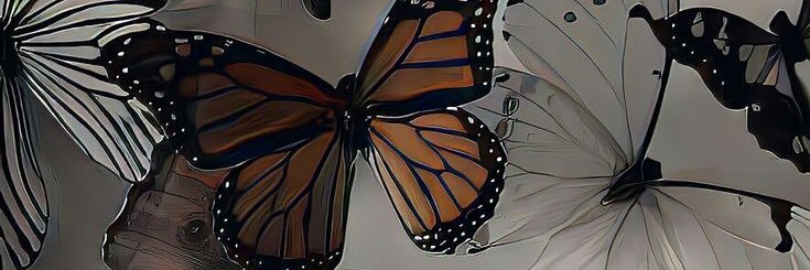 mronlightkkj's profile banner image