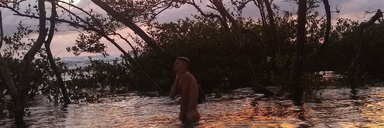 Qualegusta's profile banner image