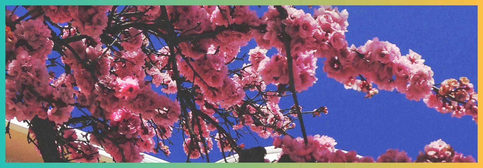 AnetteAgraz's profile banner image