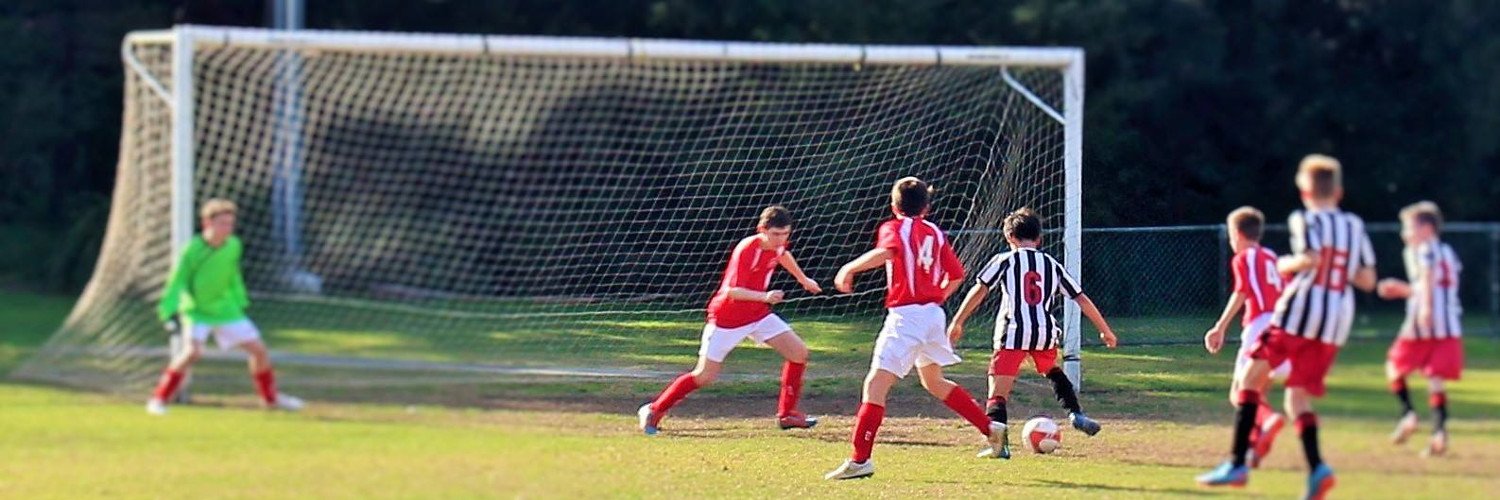 leichhardtsaint's profile banner image