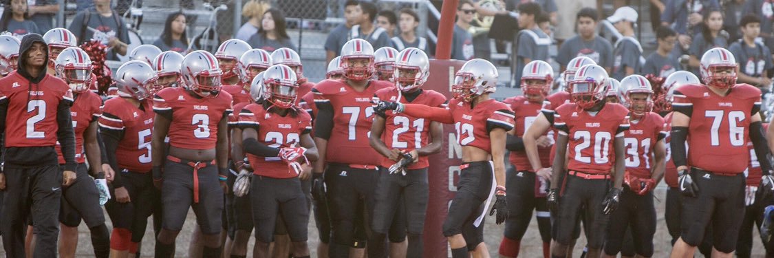 Lincoln Football banner