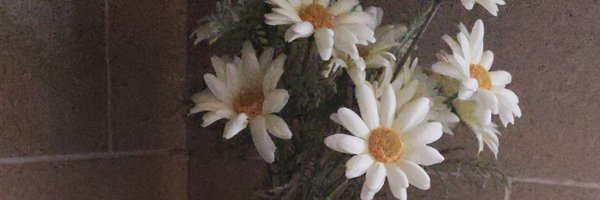 gcmabel Profile Banner