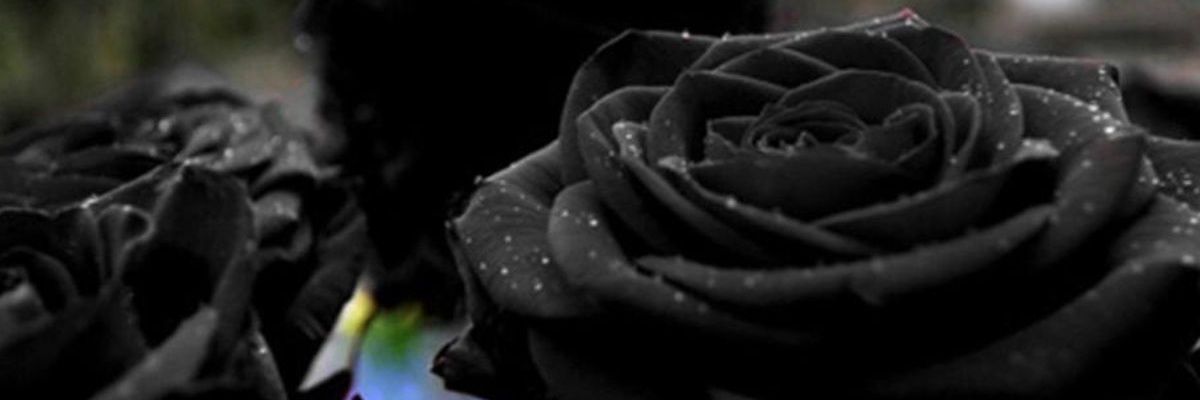 MarkaaLovesPink's profile banner image
