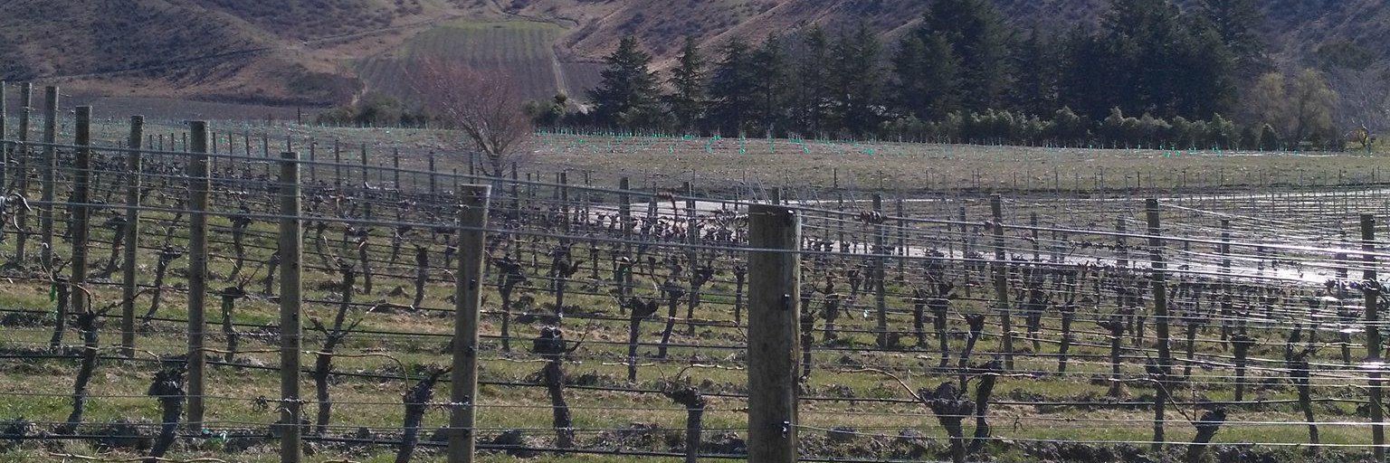 Thomas Moschetta banner