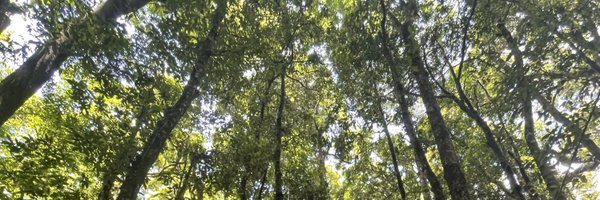 malcolmstufkens Profile Banner