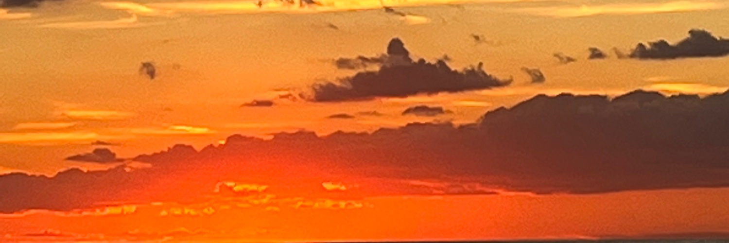 WyethFolmar's profile banner image